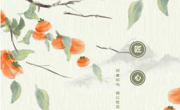 师者如光 微以致远——甪直高级中学优秀教师风采展（一）
